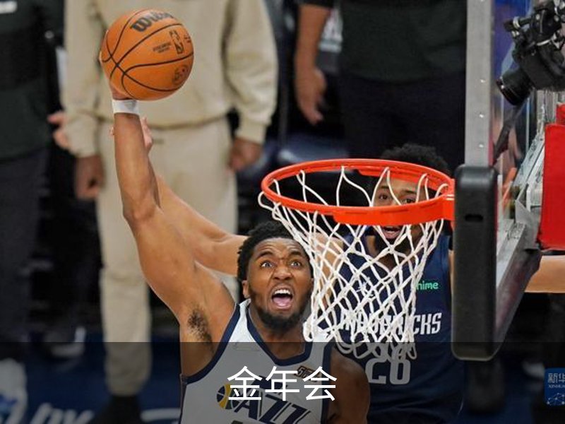 金年会概况